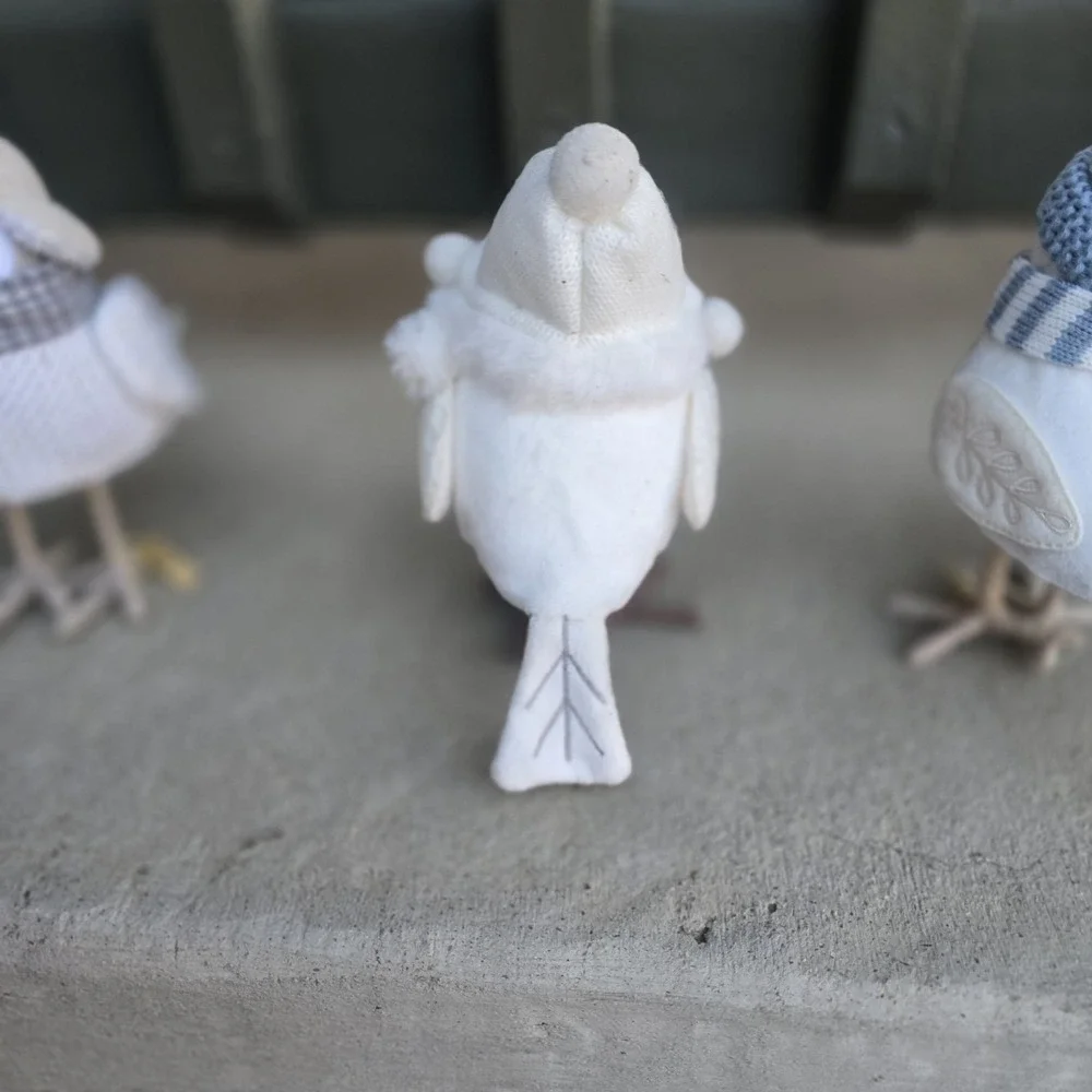 Lot of 4 Target Wondershop Winter Birds 2021/ 2022 Tricot,Flurry,Weft, Dewey,